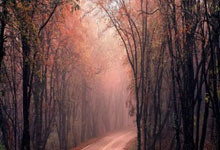 欧博：山东泰山队：明日中超首秀 力争打好开局.