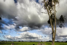 意甲：国际米兰击退帕尔马.