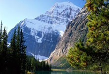 亨利：没想到没上场也能一起庆祝 沃特曼的庆祝是我见过最棒的.