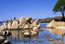 马丁内斯：C罗作为中锋正处绝佳状态 21场17球在哪都属于顶尖水准.